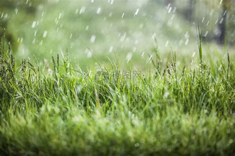 下雨照片|下雨图片